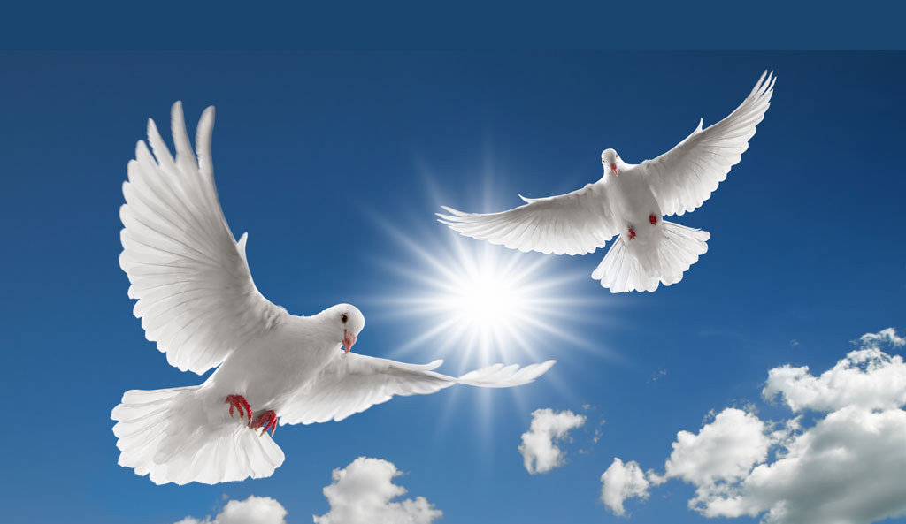 White doves against a blue sky, the Circle of Healing image